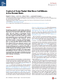 Cover page: Control of Outer Radial Glial Stem Cell Mitosis in the Human Brain